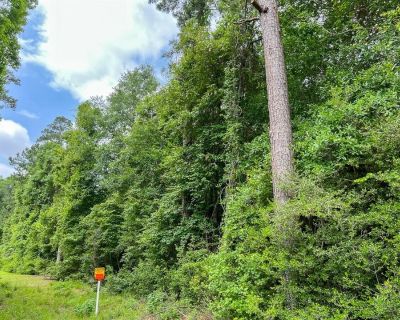 Land For Sale in Silsbee, TX