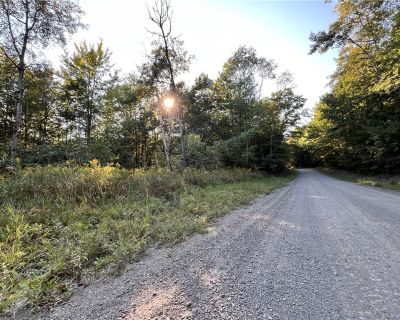 Lots and Land For Sale in Elmira, NY