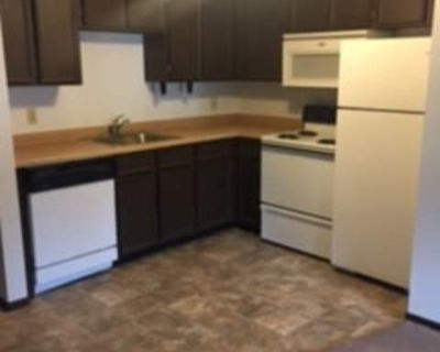 1 Bedroom 1BA 550 ft Apartment For Rent in Northfield, MN