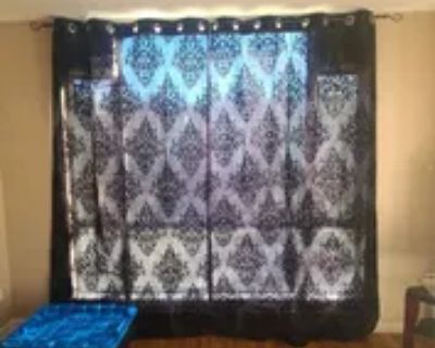 1 Bedroom 172 ft House For Rent in Pitt Meadows, BC