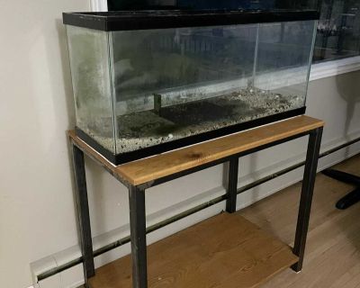 45gals fish tank | custom made stand