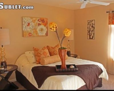 1 Bedroom 1BA Pet-Friendly Vacation Property For Rent in Chandler, AZ