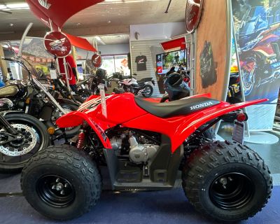 2025 Honda TRX90X ATV Kids Phillipston, MA
