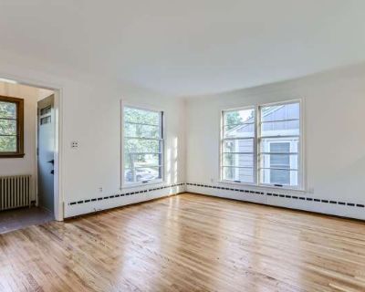 2 Bedroom 1.5BA 1000 ft Pet-Friendly Apartment For Rent in Minneapolis, MN