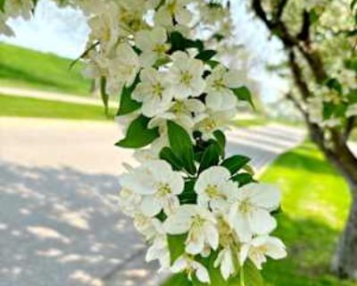 Budget: $1,249 per month. Ready to move: December 8. Looking for myself. Naaaaaaaaaaaaaaaaaaaaaaaaaaaaaaaaaaaaaaaaaaaaaaaaaaaaaaa