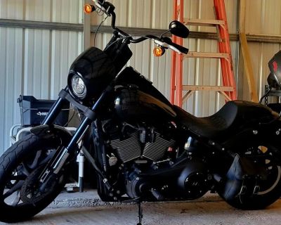 2020 Harley Davidson LowRider s