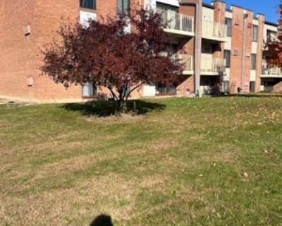 1 Bedroom 1BA Condominium For Sale in ADDISON, IL