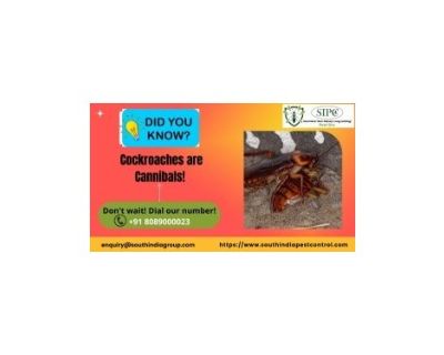 Wanted: Roach Control Bangalore