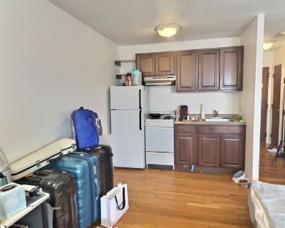 1BA Apartment For Rent in Boston, MA