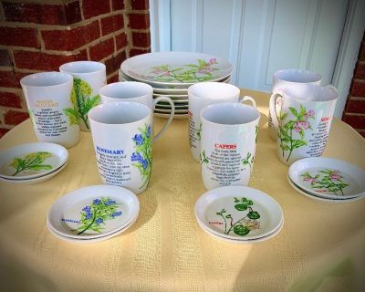 23 Piece Rare Plate & Coffee Cup/ Saucer Brunch Set