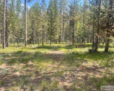 Unimproved Land For Sale in ISLAND PARK, ID