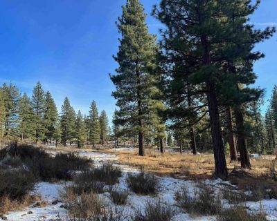 Land For Sale in Carson City, NV