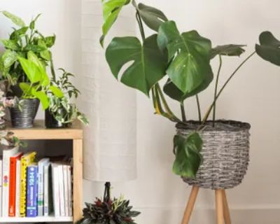 301 sqft true Room for Rent in Montreal, QC