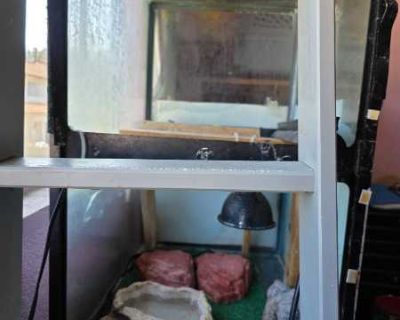 Reptile Aquarium (20 gallon +) & cabinet/stand, heat rocks & lights, ladder, bowls, misc. FREE!! Aquarium measures 25" x 18" x 30". Great for green iguana or other reptile.