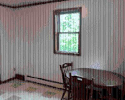 1 Bedroom 1BA Apartment For Rent in Morgantown, WV 1411 Willey St unit C