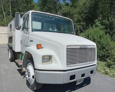 1995 Freightliner FL60 & 1995 Colin Arndt Horse