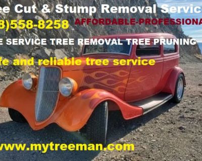 Affordable and Reliable Tree Service *Tree Removal *Tree Trimming