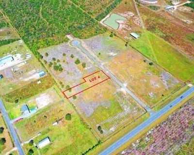 Harmony St Lot,wewahitchka, Plot For Sale
