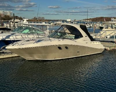 Sea Ray 310 Sundancer