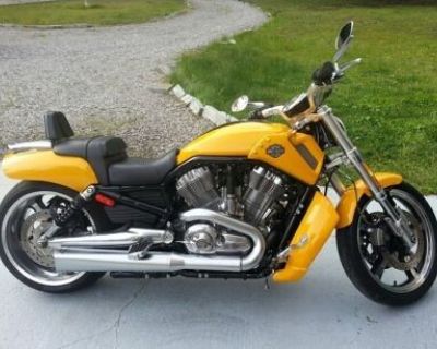 harley davidson v rod for sale craigslist