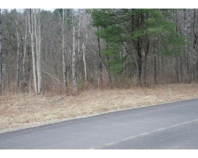 Land For Sale in Waverly, NY