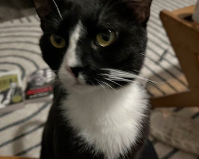 Total rooms: 2. Deposit: $250.00 * Utilities included?: Yes * Fees apply?: No. References are not required. No preference. Smoking is allowed. Not for couples. Age preference: 20 - 27. Furnishings: Furnished * Parking: Yes * Garage: No * Yard/patio: No * Balcony/roof terrace: Yes * Disabled access: No * Living room: shared * Broadband included: No. Availability Available Now Minimum term 12 mon...