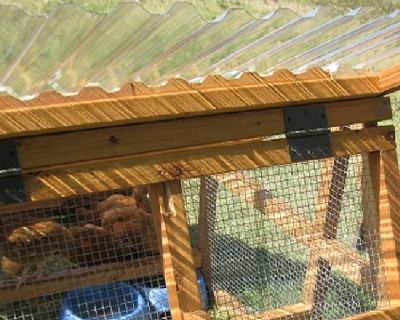 PRE-ORDER FOR CHRISTMAS- DUCK COOP FOR SALE- To your door at a reasonable fee- Charlotte area