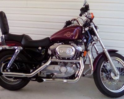 Harley Sportster 1200