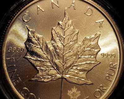 SALE SPOT PRICE Gold Maple Leafs