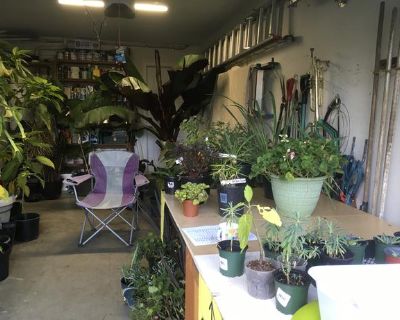 Plants,plants and more Plants!