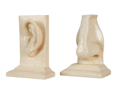 Pair of Ear & Nose Bookends by C2c Designs