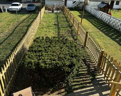 Private room with shared bathroom in an apartment, Edgewood, PA 17866