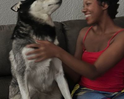 Mona - Needs an Apartment on iROOMit or a Room