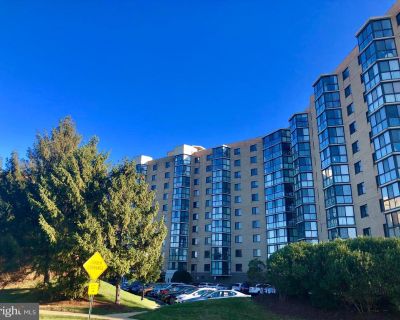 3310 N Leisure World Boulevard # 917. Property for Rent in Silver Spring, MD for $2,300 with 2 bedrooms and 2 full baths. This 1,115 square foot property was built in 1991.. 55+ Premier Active Community! 2 Bedroom, 2 full bath F Model, laminate hardwood flooring in Living room, foyer and dining room, New LVP flooring in both bathrooms, carpet in both bedrooms. Updated kitchen cabinets, granite ...