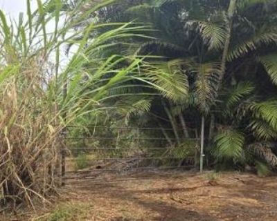 1 Bed 1 Bath Preforeclosure Property in Makawao, HI 96768 - Waiahiwi Rd