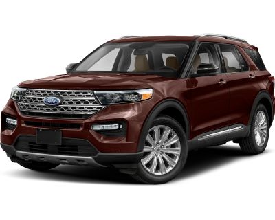 Used Ford Cars, Trucks For Sale Denver | Phil Long