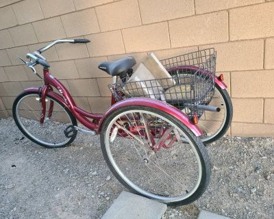 Schwinn Cruiser Bike (3 wheel)