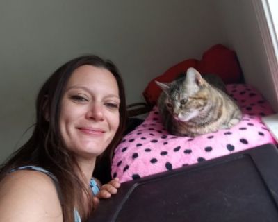 Looking for a room to rent