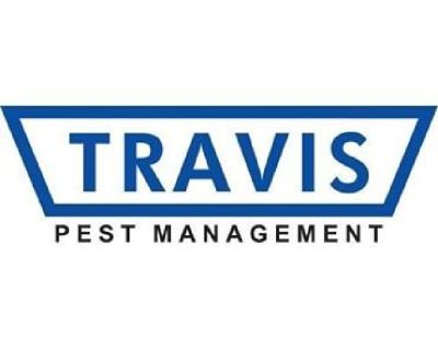 Get The Best Insect Control In Palm Beach