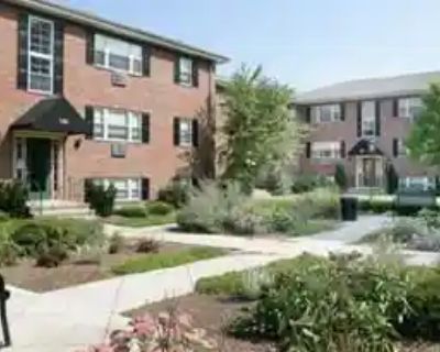 1 Bedroom 1BA Condo For Rent in Newton, MA