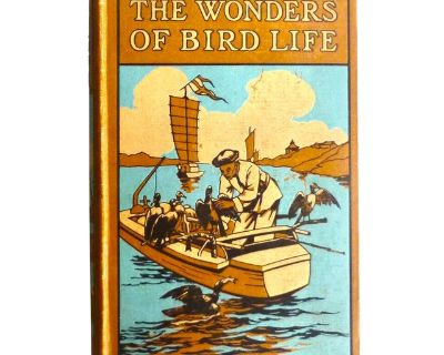 1917 the Wonders of Bird Life, Illustrated