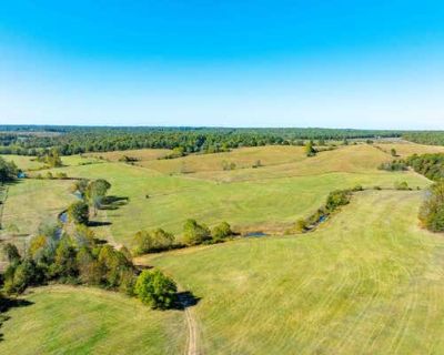 4 Bedroom 3BA 2289 ft Farm For Sale in VIOLA, AR