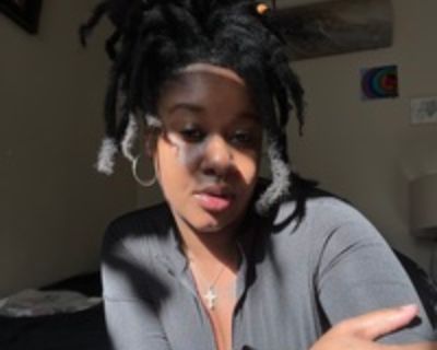 Art O is looking for a New Roommate in Miami with a budget of $800.00