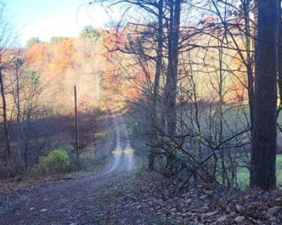 Unimproved Land For Sale in MAYPORT, PA