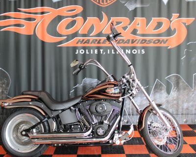 2007 Harley-Davidson Softail Night Train Cruiser Shorewood, IL