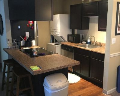 1br 1 ba apartment at The Grove at Lyndon 635 sq ft 808/month