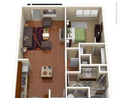 1 bedroom 1bath apartment for rent in south end at the spectrum apartments