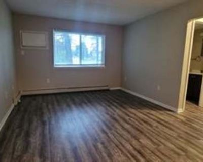 1 Bedroom 1BA 542 ft Apartment For Rent in Sturgis, MI
