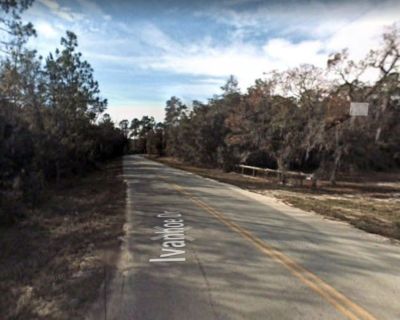 0.22 Acres for Sale in Satsuma, FL