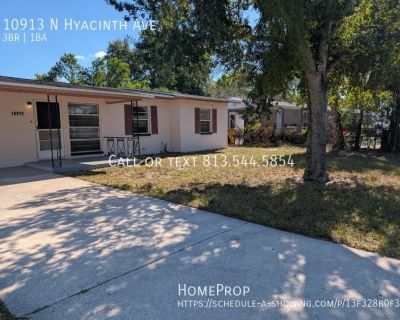 3 Bedroom 1BA 1619 ft Single-family home For Rent in Tampa, FL